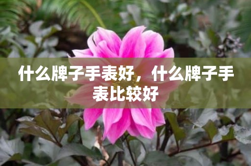 什么牌子手表好，什么牌子手表比较好