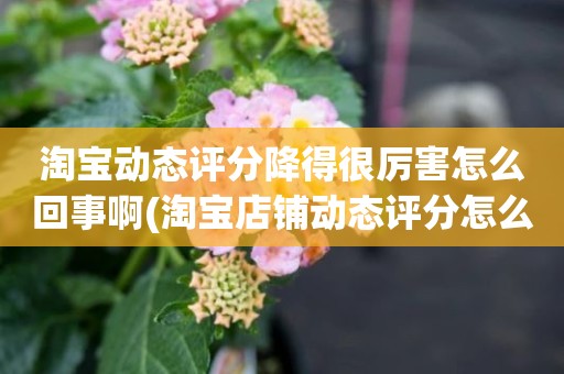 淘宝动态评分降得很厉害怎么回事啊(淘宝店铺动态评分怎么越来越低)