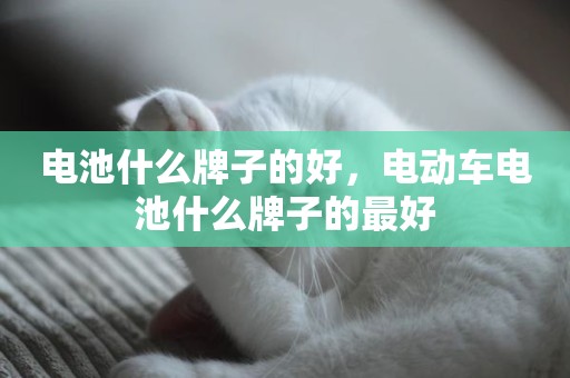 电池什么牌子的好，电动车电池什么牌子的最好