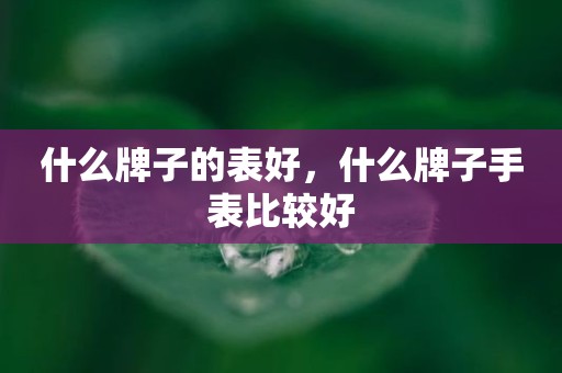 什么牌子的表好，什么牌子手表比较好