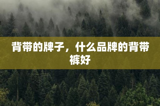 背带的牌子，什么品牌的背带裤好