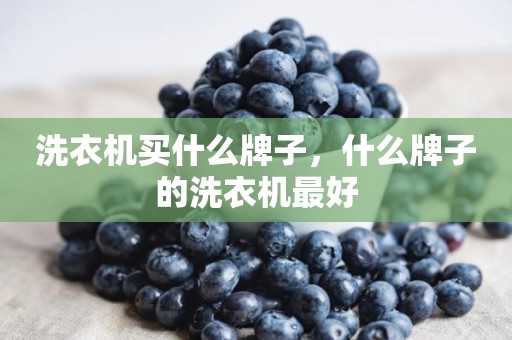 洗衣机买什么牌子，什么牌子的洗衣机最好