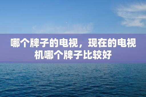 哪个牌子的电视，现在的电视机哪个牌子比较好