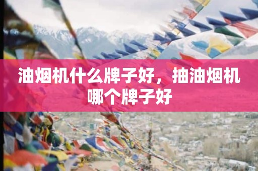 油烟机什么牌子好，抽油烟机哪个牌子好