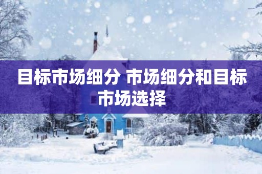 目标市场细分 市场细分和目标市场选择