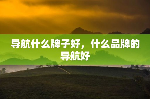 导航什么牌子好，什么品牌的导航好
