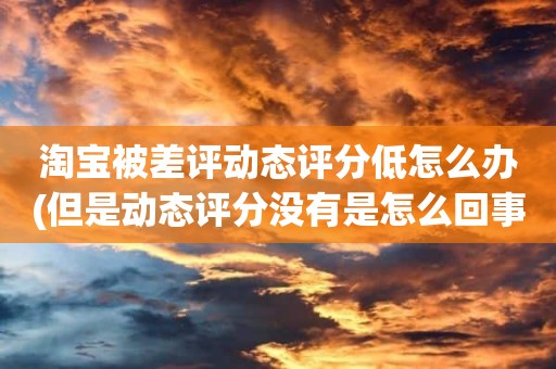 淘宝被差评动态评分低怎么办(但是动态评分没有是怎么回事)
