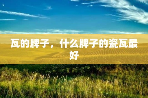 瓦的牌子，什么牌子的瓷瓦最好