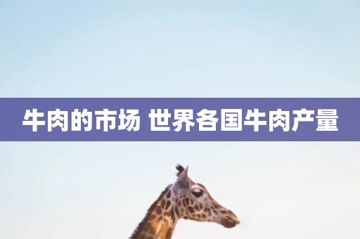 牛肉的市场 世界各国牛肉产量