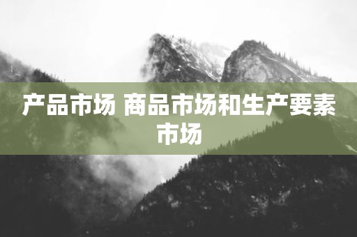 产品市场 商品市场和生产要素市场