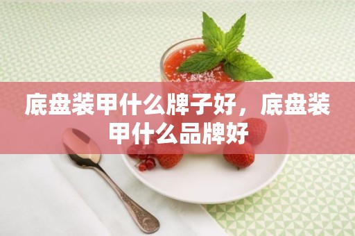 底盘装甲什么牌子好，底盘装甲什么品牌好