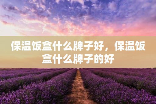 保温饭盒什么牌子好，保温饭盒什么牌子的好