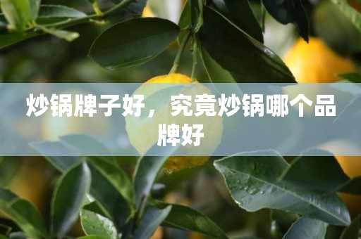 炒锅牌子好，究竟炒锅哪个品牌好