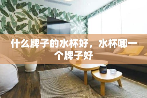 什么牌子的水杯好，水杯哪一个牌子好