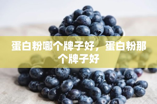 蛋白粉哪个牌子好，蛋白粉那个牌子好
