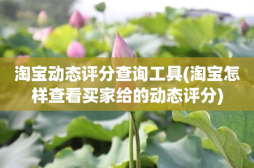 淘宝动态评分查询工具(淘宝怎样查看买家给的动态评分)