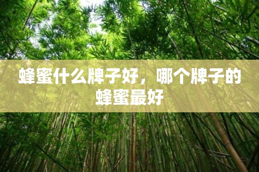 蜂蜜什么牌子好，哪个牌子的蜂蜜最好