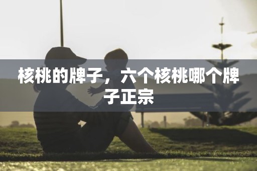 核桃的牌子，六个核桃哪个牌子正宗