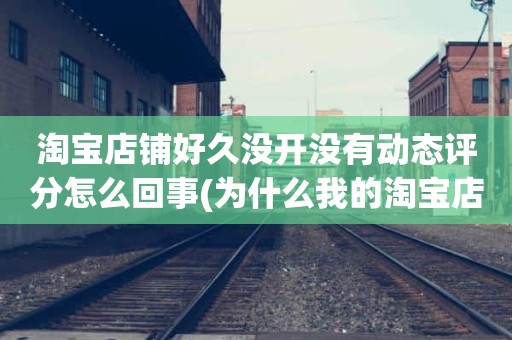 淘宝店铺好久没开没有动态评分怎么回事(为什么我的淘宝店铺没有动态评分)