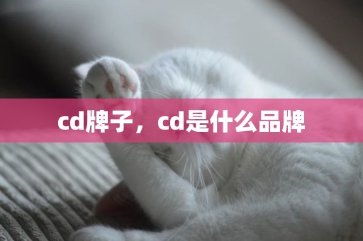 cd牌子，cd是什么品牌