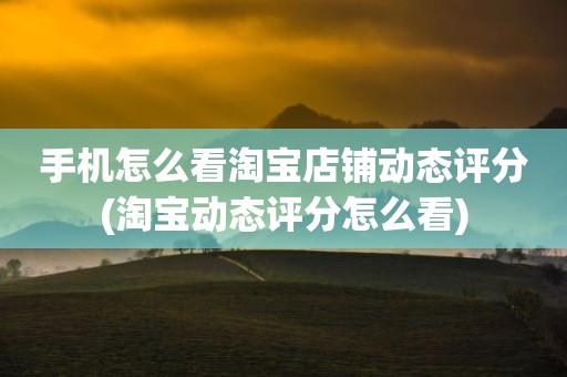 手机怎么看淘宝店铺动态评分(淘宝动态评分怎么看)