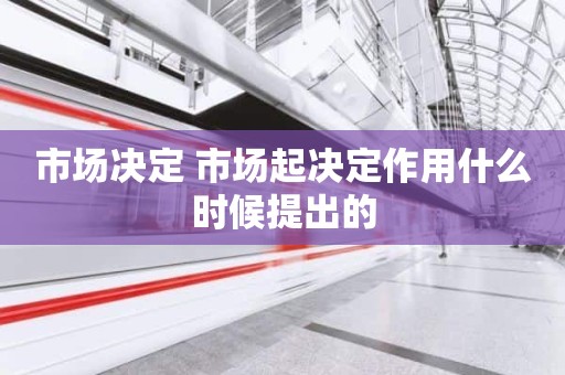 市场决定 市场起决定作用什么时候提出的