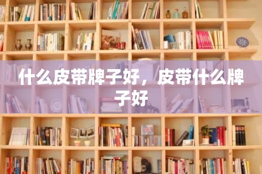 什么皮带牌子好，皮带什么牌子好