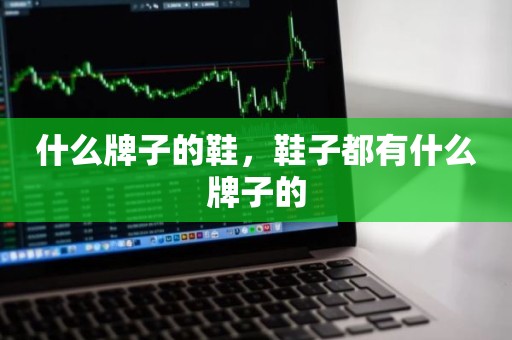 什么牌子的鞋，鞋子都有什么牌子的
