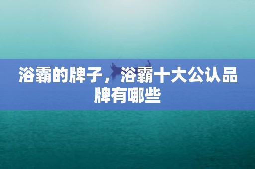 浴霸的牌子，浴霸十大公认品牌有哪些