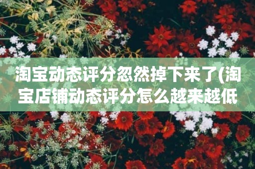 淘宝动态评分忽然掉下来了(淘宝店铺动态评分怎么越来越低)