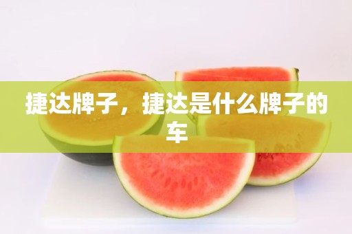 捷达牌子，捷达是什么牌子的车