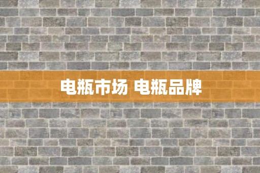 电瓶市场 电瓶品牌
