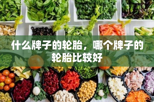 什么牌子的轮胎，哪个牌子的轮胎比较好