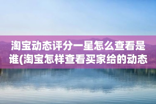 淘宝动态评分一星怎么查看是谁(淘宝怎样查看买家给的动态评分)