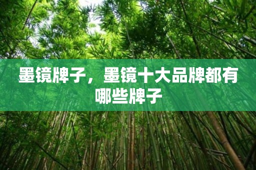 墨镜牌子，墨镜十大品牌都有哪些牌子