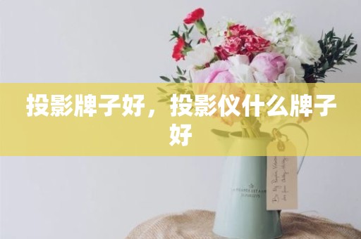 投影牌子好，投影仪什么牌子好