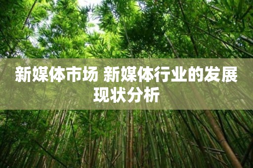 新媒体市场 新媒体行业的发展现状分析