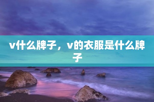 v什么牌子，v的衣服是什么牌子
