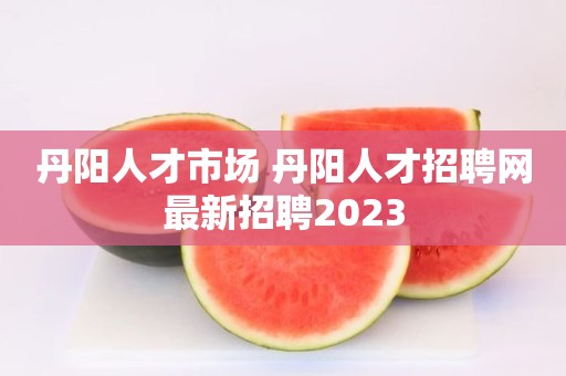 丹阳人才市场 丹阳人才招聘网最新招聘2023