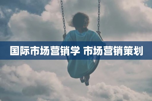 国际市场营销学 市场营销策划