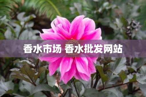 香水市场 香水批发网站