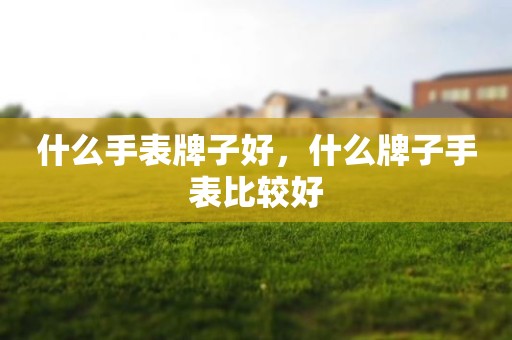 什么手表牌子好，什么牌子手表比较好