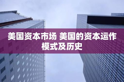 美国资本市场 美国的资本运作模式及历史