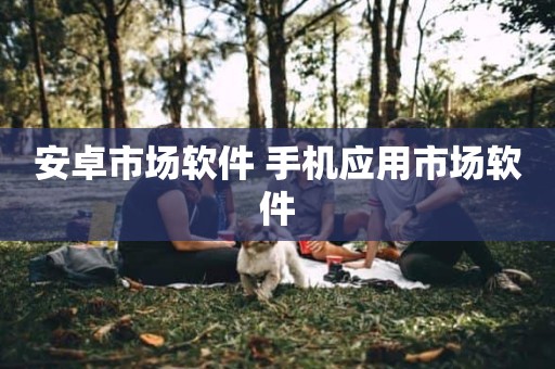 安卓市场软件 手机应用市场软件