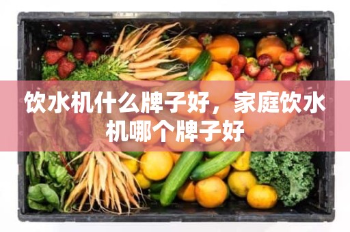 饮水机什么牌子好，家庭饮水机哪个牌子好