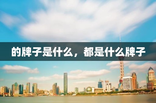 的牌子是什么，都是什么牌子