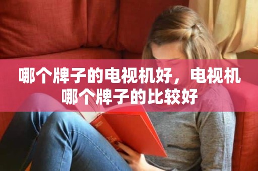 哪个牌子的电视机好，电视机哪个牌子的比较好