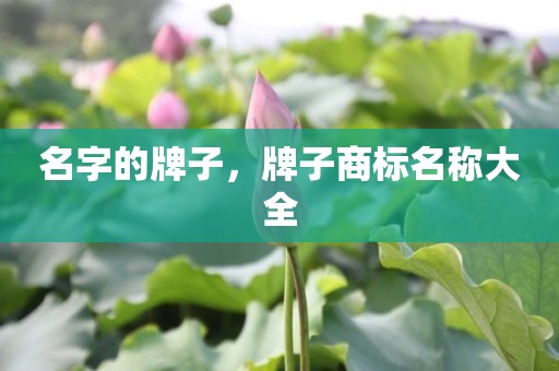 名字的牌子，牌子商标名称大全