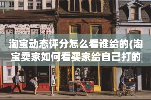淘宝动态评分怎么看谁给的(淘宝卖家如何看买家给自己打的分数)