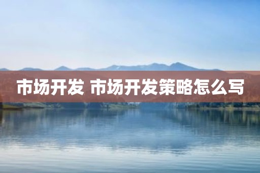 市场开发 市场开发策略怎么写